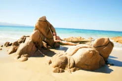 Monkey Swing Hängematte Inkl. Aufhängeset I 275 X 140 Cm I Reise,Camping,Outdoor -Deutschland Garten Zier Verkaufs-Shop 0bebb2efa64e62620d957a0450e24d9f