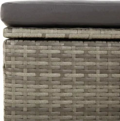 VidaXL Gartensofa 2-Sitzer Mit Kissen Grau Poly Rattan -Deutschland Garten Zier Verkaufs-Shop 2bb4cb550ad0dd0d107d4c48cb657108