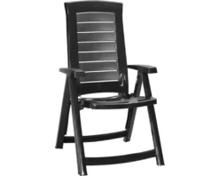 Allibert Aruba Klappsessel Graphite; 221068 -Deutschland Garten Zier Verkaufs-Shop 5c24d6d273bf587e894f5430cce041e7