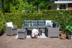 Garden Impressions Dining Stuhl Blue Bird Organic Grey -Deutschland Garten Zier Verkaufs-Shop 8524ae9fa0ada0b1ba666cd20837f621