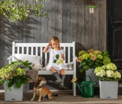 Dehner Gartenbank Mykonos, 2-Sitzer, Ca. 120 X 89 X 61 Cm, FSC® Akazienholz, Weiß -Deutschland Garten Zier Verkaufs-Shop a38e023b4983a82945eca682611e2a4f