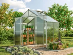 GFP Gewächshaus Topas 2 Aus Alu 225x133 Cm Ca. 8 Mm Doppelstegplatten Mit Fundamentrahmen, Automatischer Fensteröffner - Austria -Deutschland Garten Zier Verkaufs-Shop b0f33414c887632bc2384edfb89e6133