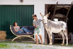 Gartenbank / Gartensofa 2-Sitzer Amazonas Siena Due Kissen Anthracite -Deutschland Garten Zier Verkaufs-Shop b3a8fbdc191fb134ad698cdeacec9468