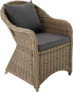 Tectake 4 Rattansessel Mit Aluminiumgestell Inkl. Sitzkissen Und Rückenkissen - Natur