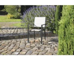 Acamp Stapelsessel Alberto 6er Schwarz Silber -Deutschland Garten Zier Verkaufs-Shop df737553c652ecb31359f1681a4bb770