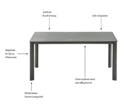 Dehner Gartentisch Nancy, Mit Antihaft-Beschichtung, 160 X 75 X 90 Cm, Aluminium/Glas, Grau -Deutschland Garten Zier Verkaufs-Shop f1d415e23a98d3e562dc5d2acc2a36ab